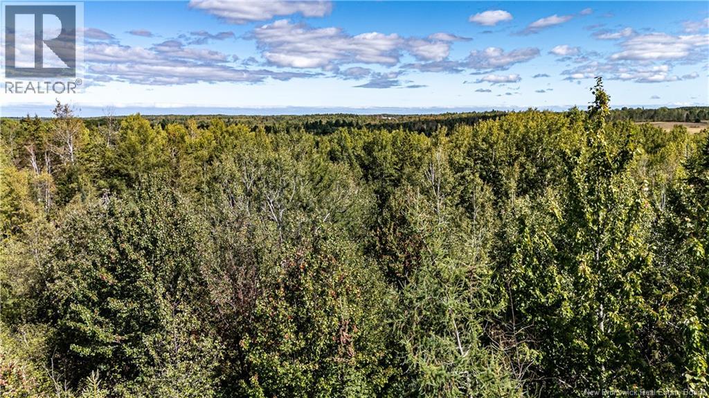Lot 79-8 De La Traverse, Saint-Paul, New Brunswick  E4T 3M6 - Photo 17 - NB133863