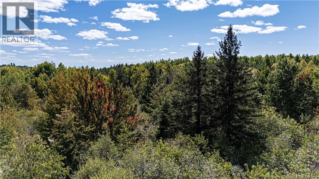 Lot 79-6 De La Traverse, Saint-Paul, New Brunswick E4T 3M6 - Photo 20 - NB133861