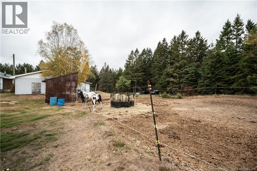 18 Church Hill Road, Elgin, New Brunswick  E4Z 6H2 - Photo 32 - NB134046