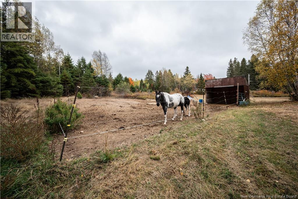 18 Church Hill Road, Elgin, New Brunswick  E4Z 6H2 - Photo 35 - NB134046