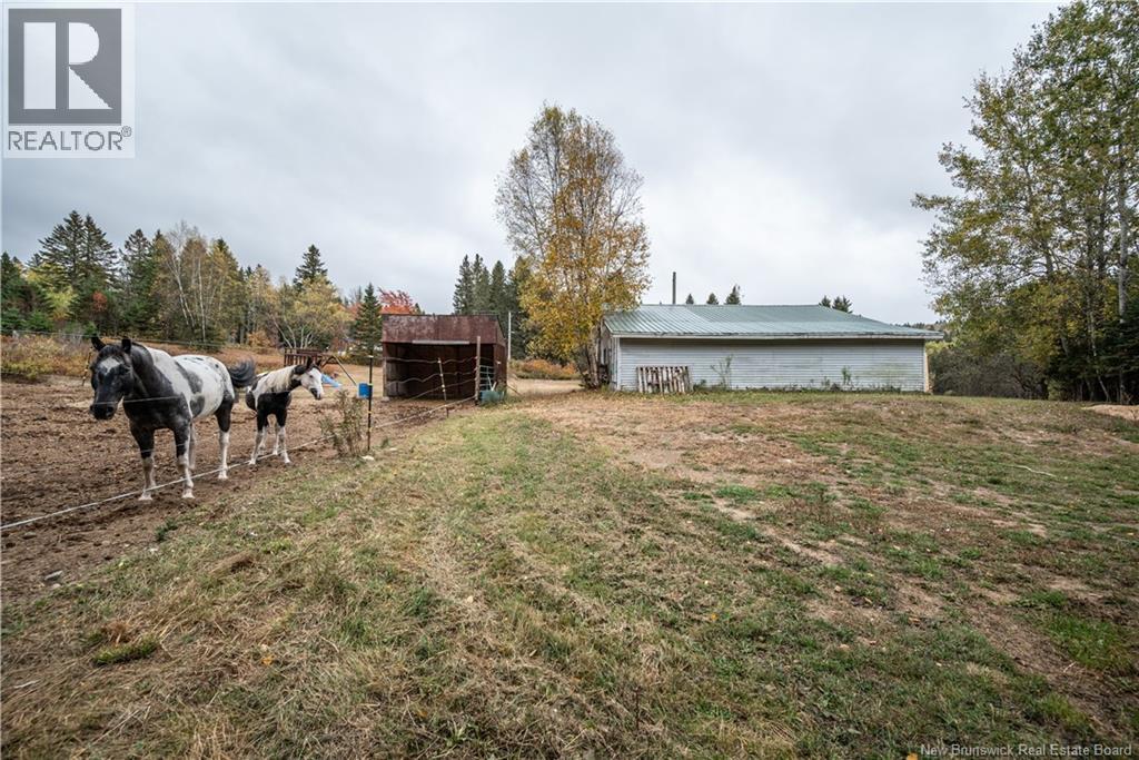 18 Church Hill Road, Elgin, New Brunswick  E4Z 6H2 - Photo 41 - NB134046