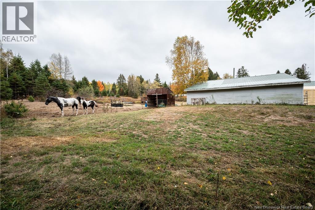 18 Church Hill Road, Elgin, New Brunswick  E4Z 6H2 - Photo 43 - NB134046