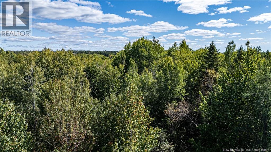 Lot 79-7 De La Traverse, Saint-Paul, New Brunswick  E4T 3M6 - Photo 18 - NB133862