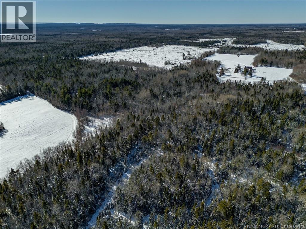 Lot 21-05 Haut St Antoine Road, Haut-Saint-Antoine, New Brunswick  E4V 3B3 - Photo 11 - NB134222
