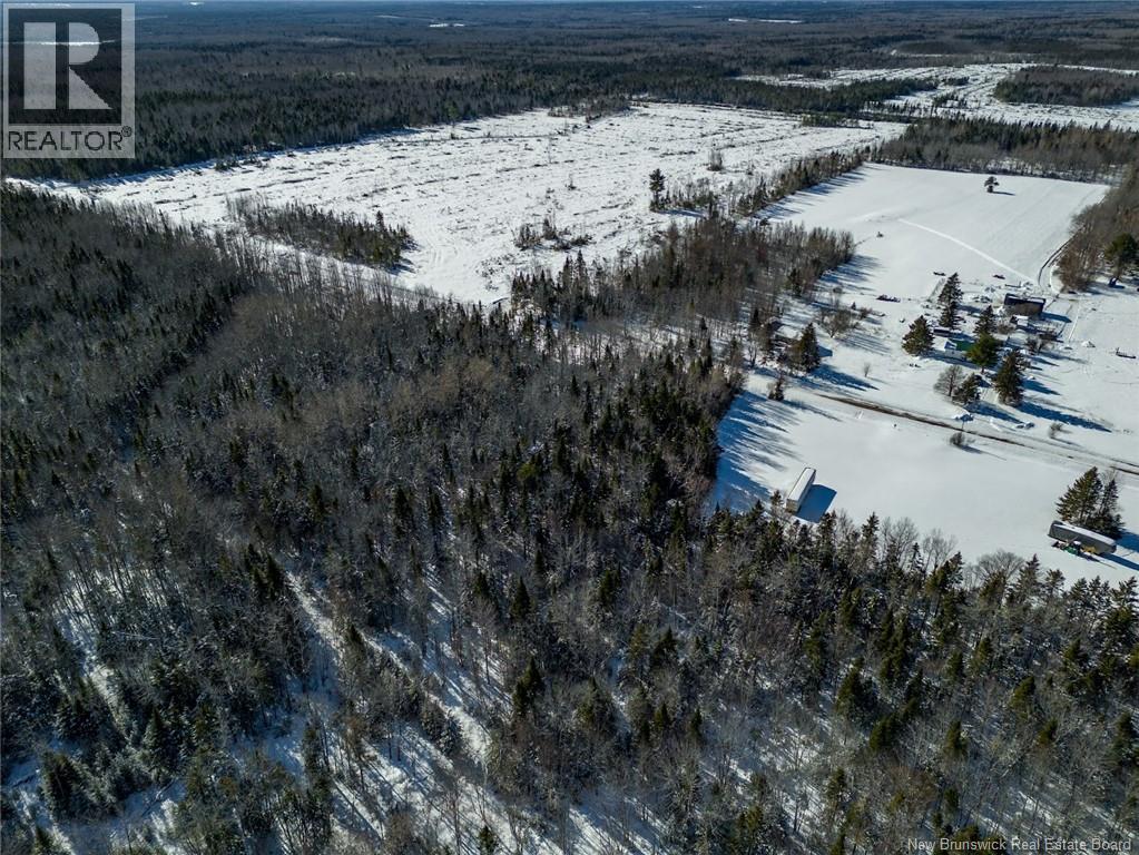 Lot 21-05 Haut St Antoine Road, Haut-Saint-Antoine, New Brunswick  E4V 3B3 - Photo 12 - NB134222