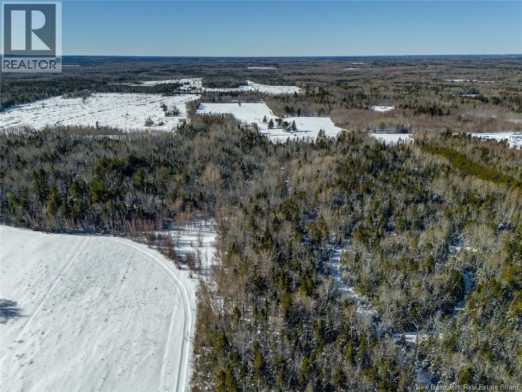 Lot 21-05 Haut St Antoine Road, Haut-Saint-Antoine, New Brunswick  E4V 3B3 - Photo 13 - NB134222