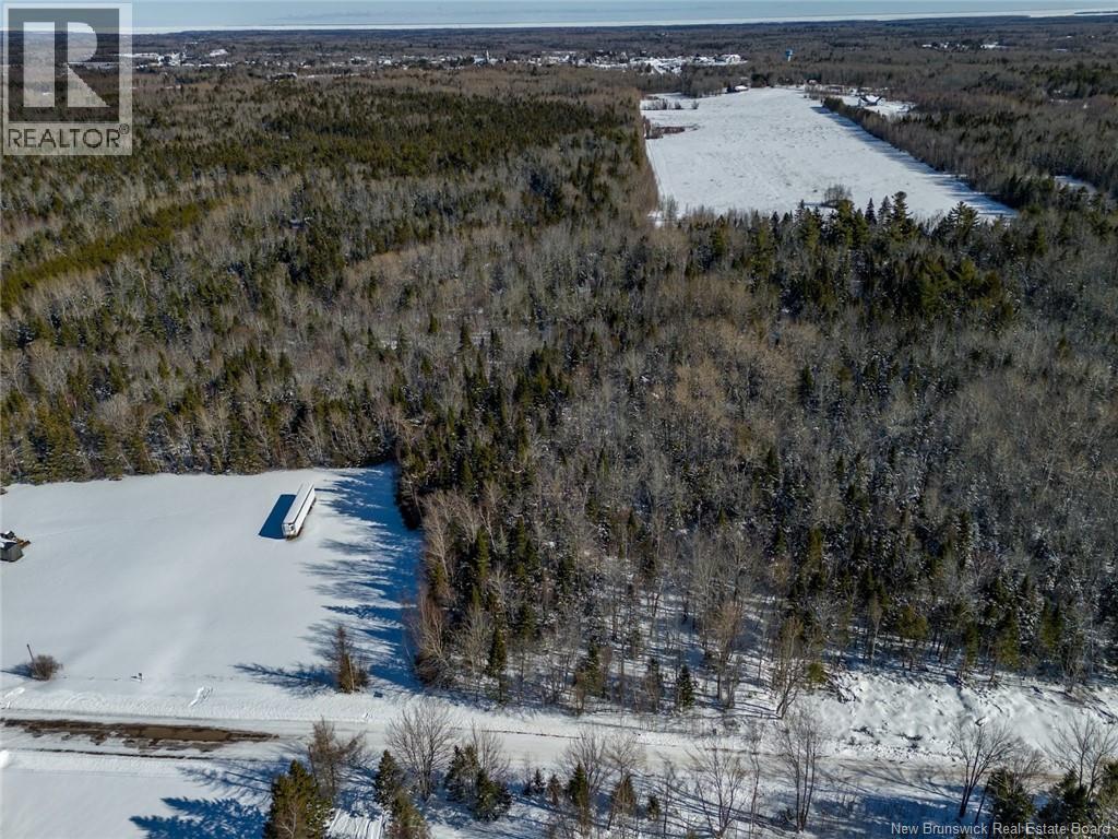 Lot 21-05 Haut St Antoine Road, Haut-Saint-Antoine, New Brunswick  E4V 3B3 - Photo 6 - NB134222