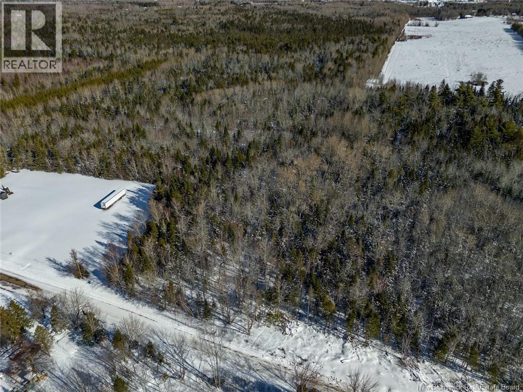 Lot 21-05 Haut St Antoine Road, Haut-Saint-Antoine, New Brunswick  E4V 3B3 - Photo 7 - NB134222