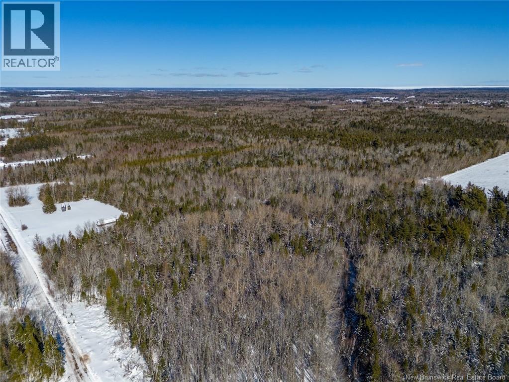 Lot 21-06 Haut Saint-Antoine Road, Saint-Antoine, New Brunswick E4V 3B3 - Photo 13 - NB134221