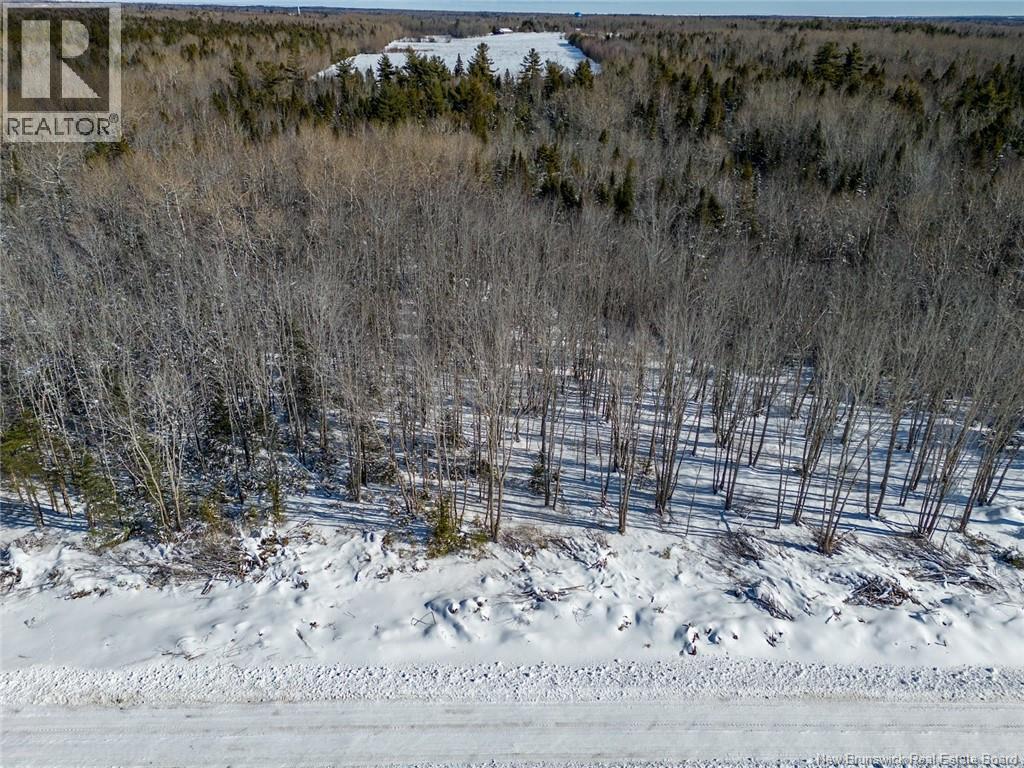 Lot 21-06 Haut Saint-Antoine Road, Saint-Antoine, New Brunswick E4V 3B3 - Photo 18 - NB134221