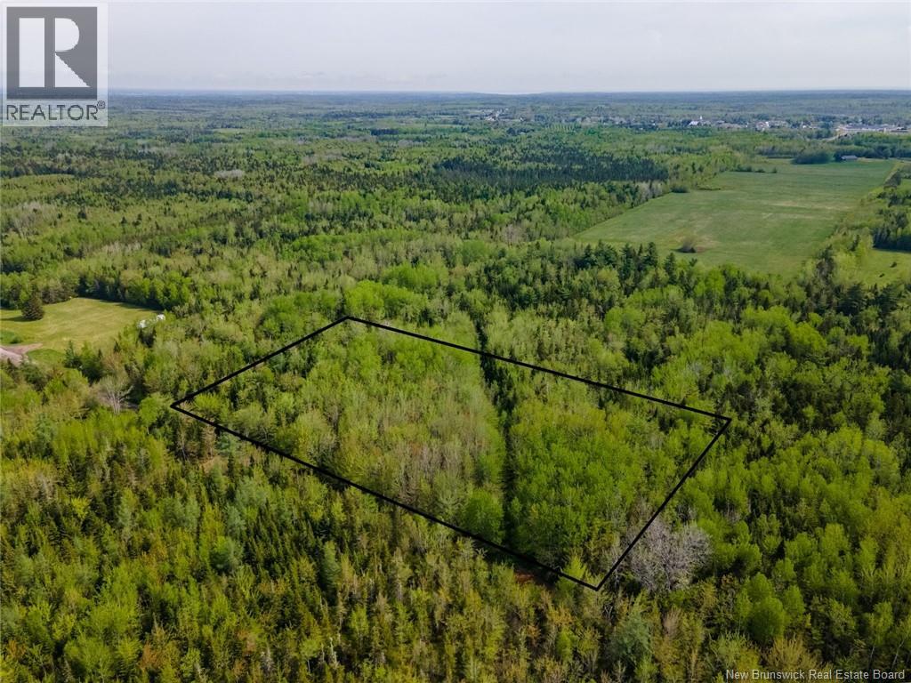 Lot 21-06 Haut Saint-Antoine Road, Saint-Antoine, New Brunswick E4V 3B3 - Photo 24 - NB134221