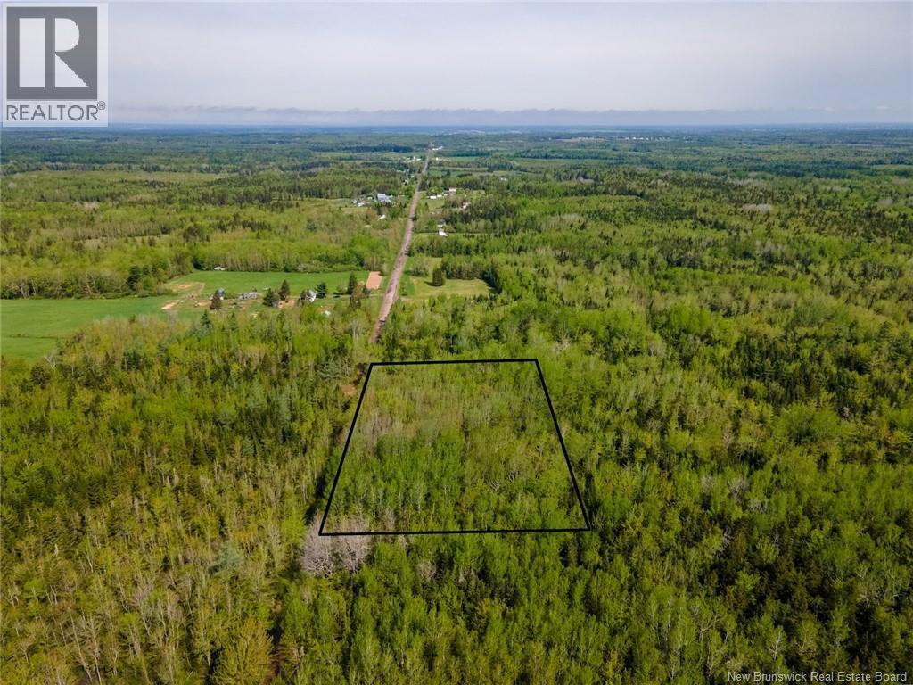Lot 21-06 Haut Saint-Antoine Road, Saint-Antoine, New Brunswick E4V 3B3 - Photo 25 - NB134221