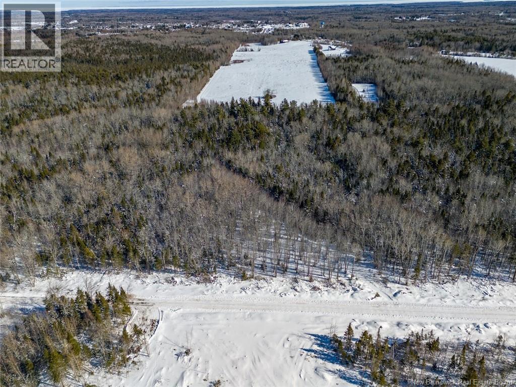 Lot 21-06 Haut Saint-Antoine Road, Saint-Antoine, New Brunswick E4V 3B3 - Photo 3 - NB134221