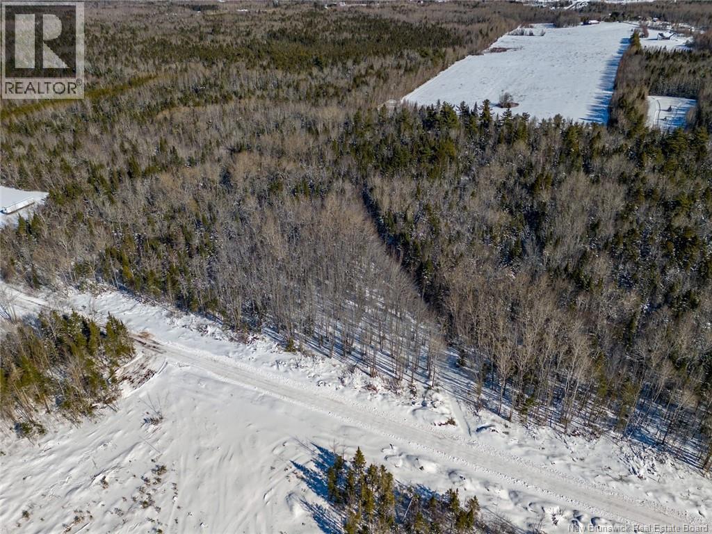 Lot 21-06 Haut Saint-Antoine Road, Saint-Antoine, New Brunswick E4V 3B3 - Photo 5 - NB134221