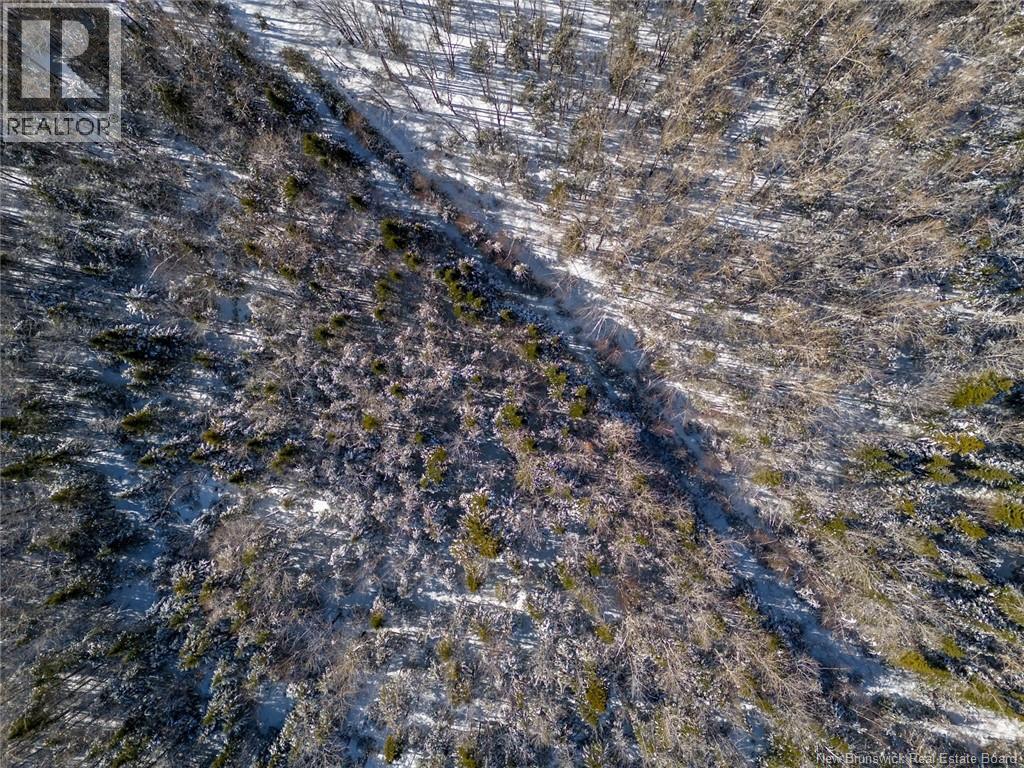 Lot 21-06 Haut Saint-Antoine Road, Saint-Antoine, New Brunswick E4V 3B3 - Photo 7 - NB134221