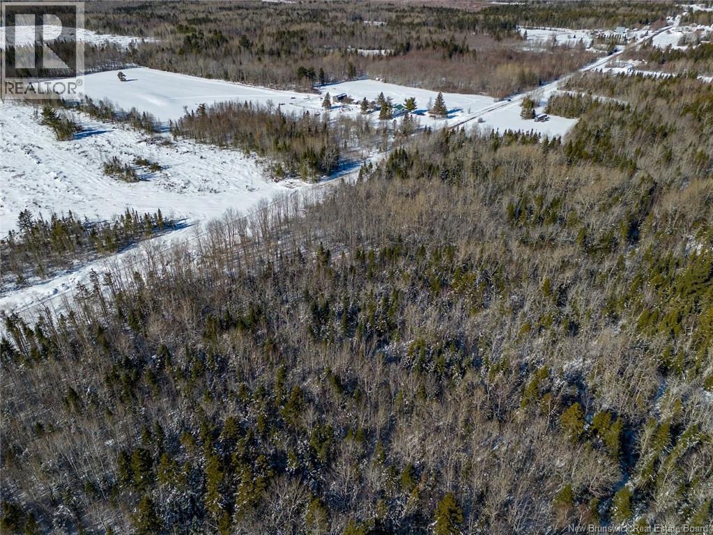 Lot 21-06 Haut Saint-Antoine Road, Saint-Antoine, New Brunswick E4V 3B3 - Photo 9 - NB134221