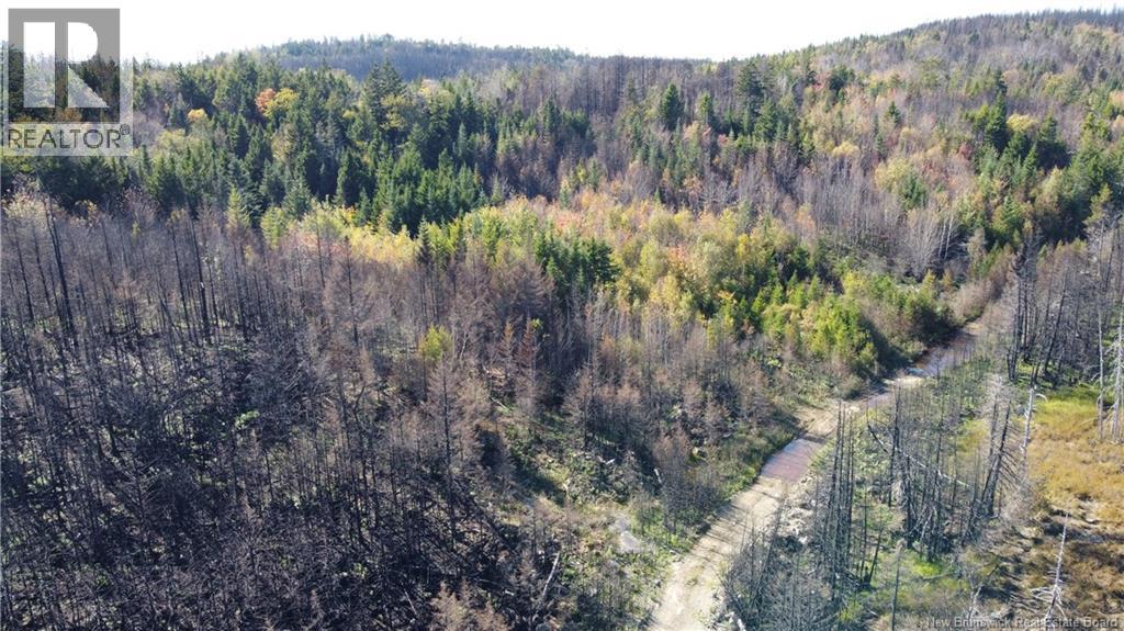 Lot 6 Route 127, Bocabec, New Brunswick  E5B 3H4 - Photo 17 - NB134263