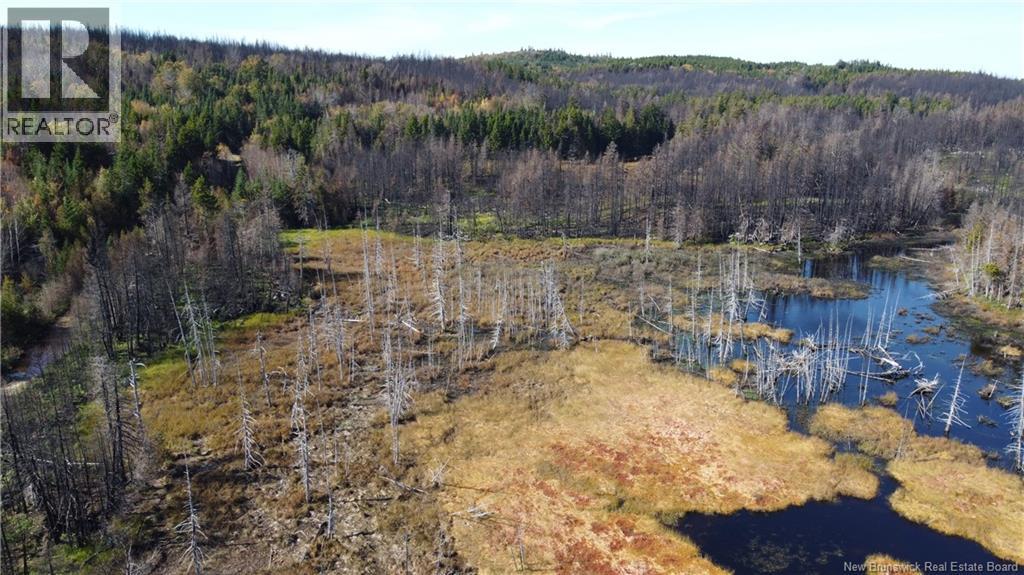Lot 6 Route 127, Bocabec, New Brunswick  E5B 3H4 - Photo 18 - NB134263