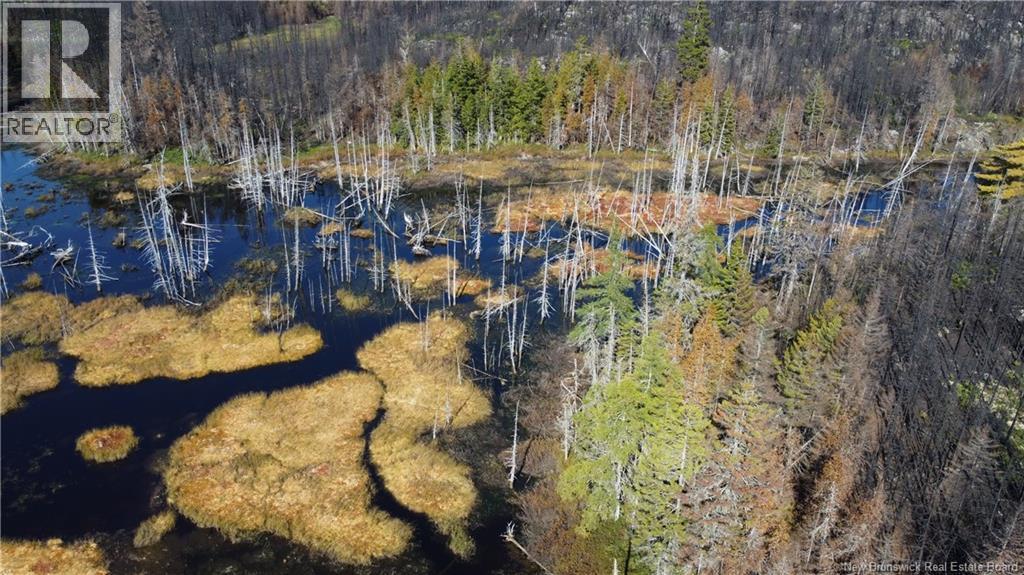 Lot 6 Route 127, Bocabec, New Brunswick  E5B 3H4 - Photo 19 - NB134263