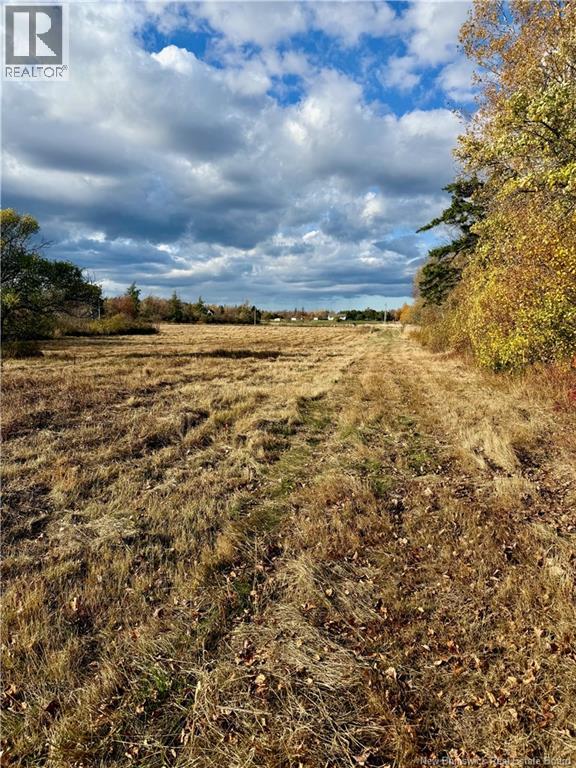 Lot Route 960, Cape Spear, New Brunswick  E4M 0C8 - Photo 5 - NB134335