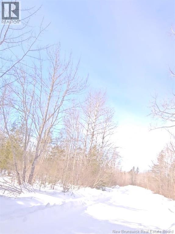 Woodlots Gallant Settlement Cross Road, Cormier Village, New Brunswick  E4P 7M7 - Photo 2 - NB134373