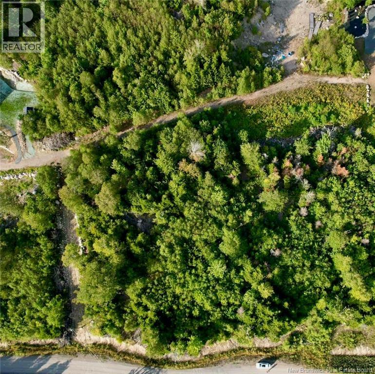 1191  137 Route 785, Utopia, New Brunswick  E5C 2L3 - Photo 6 - NB134476