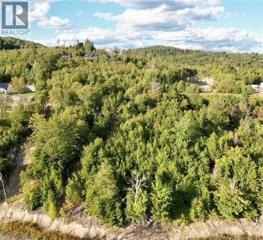 1191  137 Route 785, Utopia, New Brunswick  E5C 2L3 - Photo 9 - NB134476