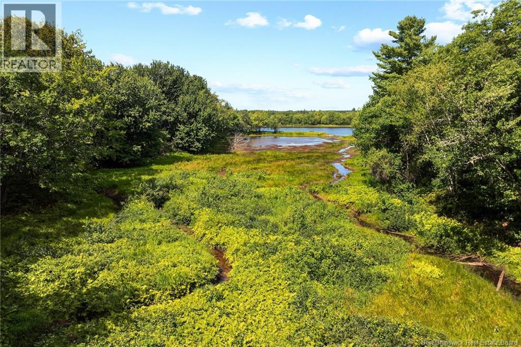Lot 99-3 Wegesegum Road, Chipman, New Brunswick  O0O 0O0 - Photo 4 - NB134464