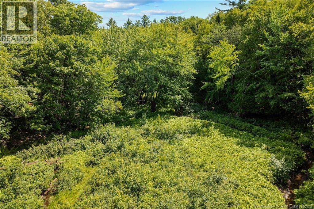 Lot 99-3 Wegesegum Road, Chipman, New Brunswick  O0O 0O0 - Photo 7 - NB134464