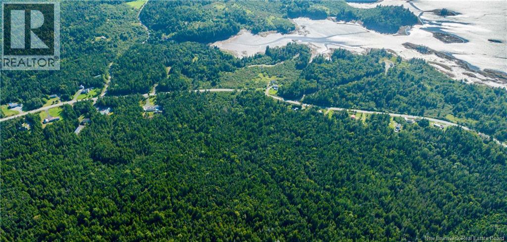 Lot 3 Route 172, Letang, New Brunswick  E5C 1W4 - Photo 19 - NB134467