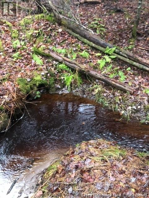 Lot Scotchtown Road, Scotchtown, New Brunswick  E4A 1S5 - Photo 9 - NB134512