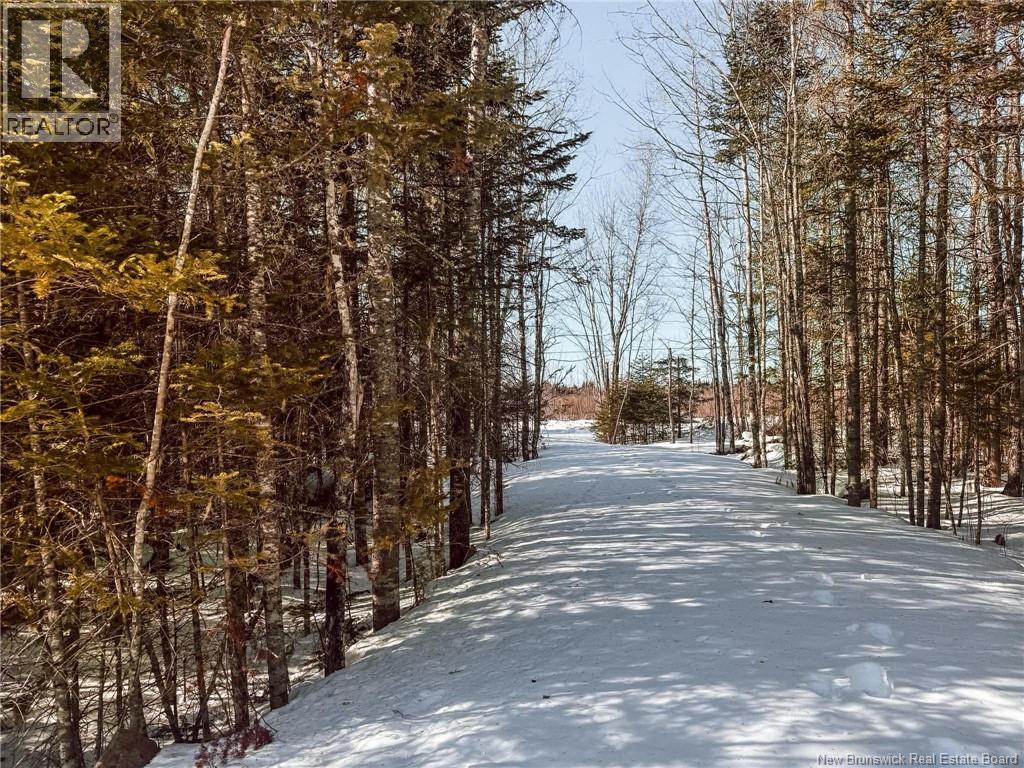 459 Chemin Village Des Cormiers, Saint-Paul, New Brunswick  E4T 3G7 - Photo 3 - NB134438