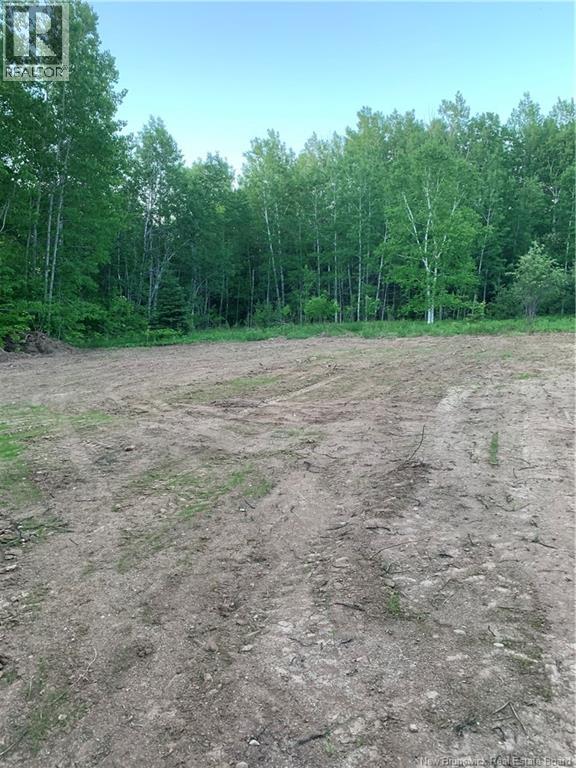 Land Route 114, Stoney Creek, New Brunswick E4H 4S4 - Photo 11 - NB134453
