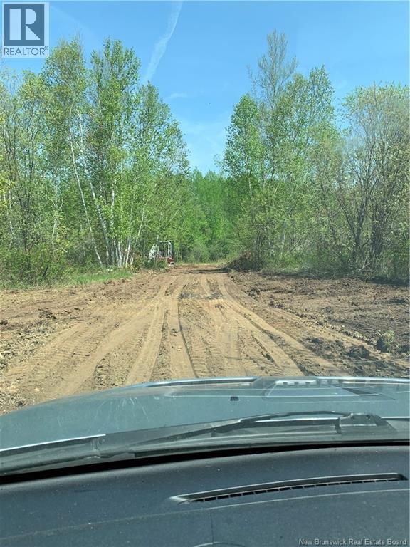 Land Route 114, Stoney Creek, New Brunswick E4H 4S4 - Photo 5 - NB134453