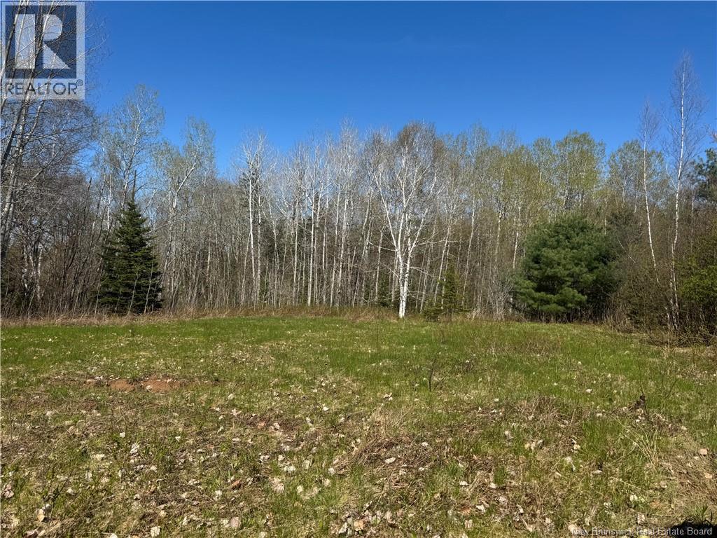 Land Route 114, Stoney Creek, New Brunswick E4H 4S4 - Photo 7 - NB134453