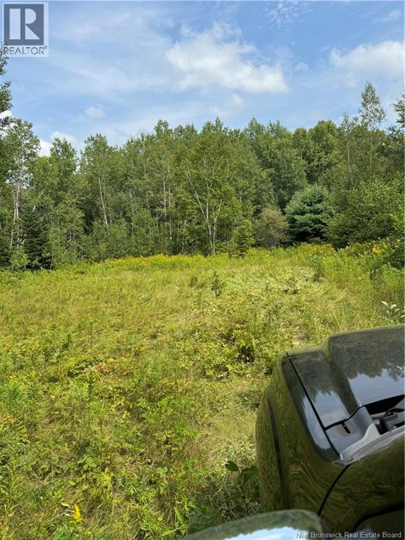 Land Route 114, Stoney Creek, New Brunswick E4H 4S4 - Photo 9 - NB134453