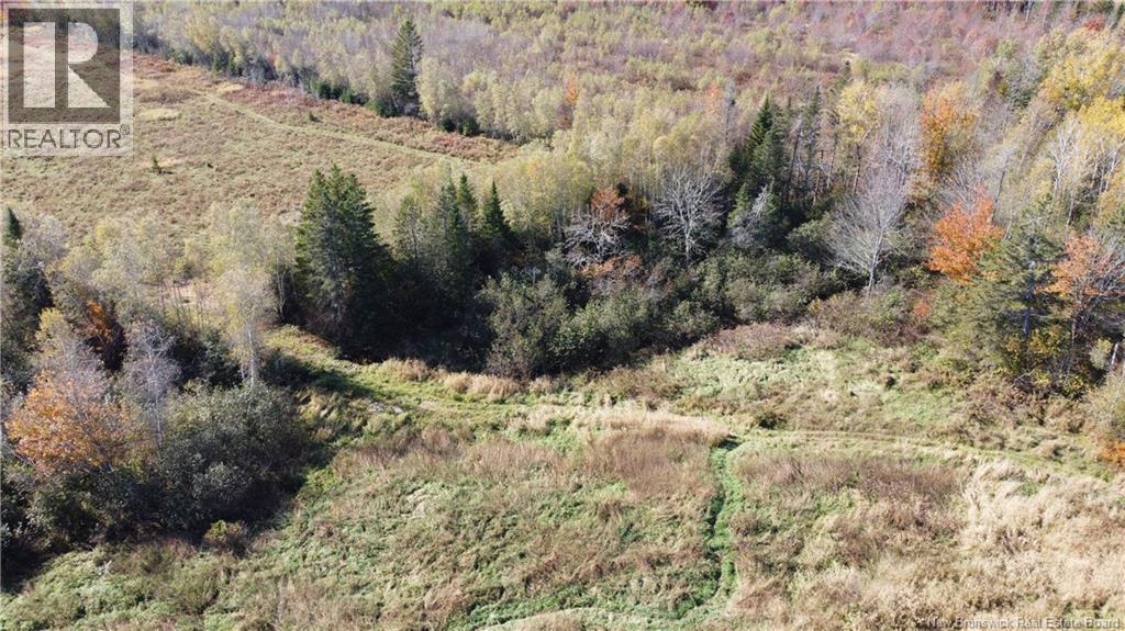0 Route 615, Springfield, New Brunswick  E6E 1V2 - Photo 4 - NB134536