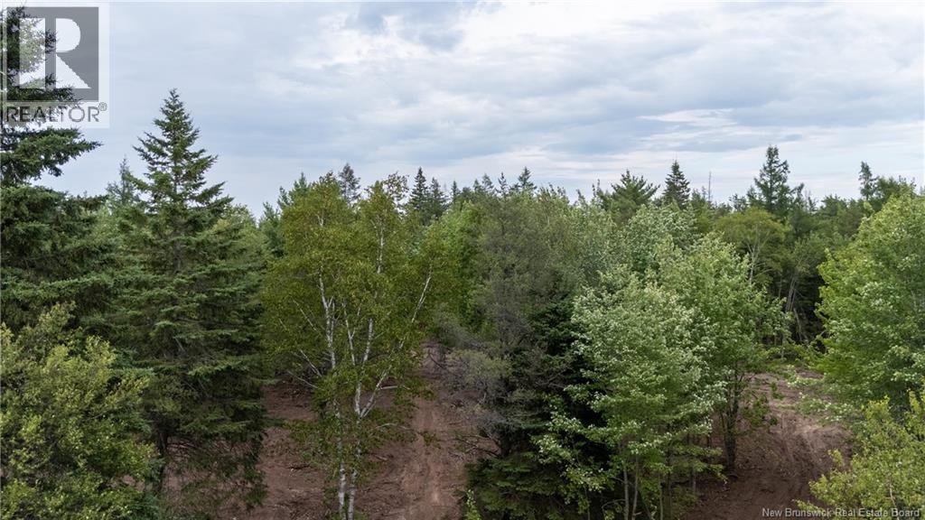 5971 Route 126, Birch Ridge, New Brunswick  E4T 2B9 - Photo 28 - NB134625