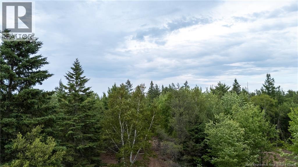 5971 Route 126, Birch Ridge, New Brunswick  E4T 2B9 - Photo 29 - NB134625