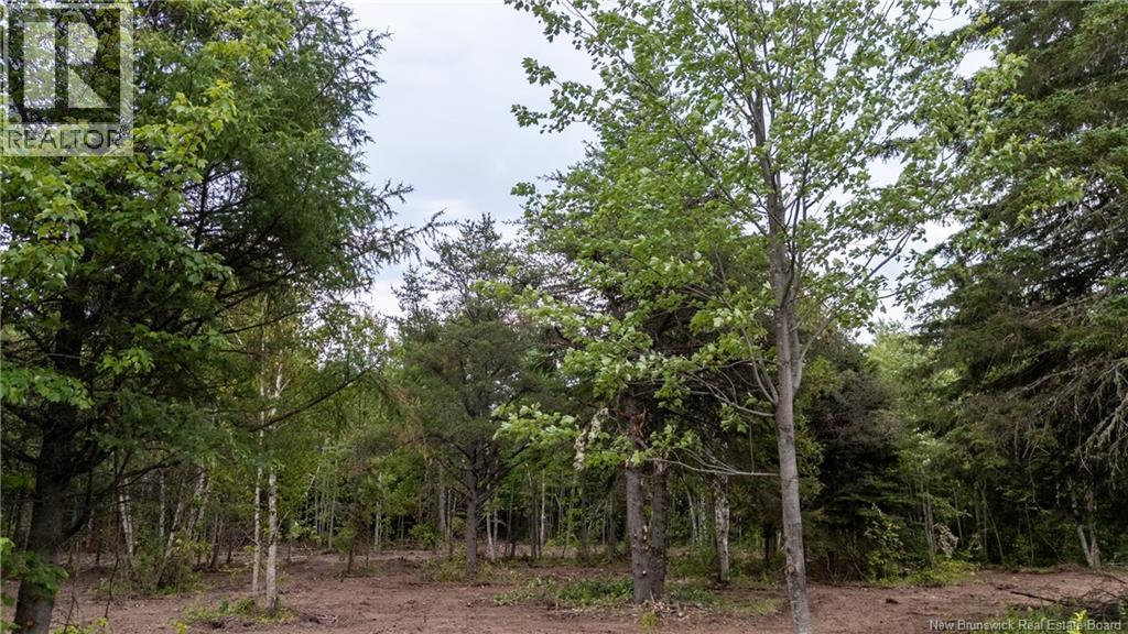 5971 Route 126, Birch Ridge, New Brunswick  E4T 2B9 - Photo 31 - NB134625
