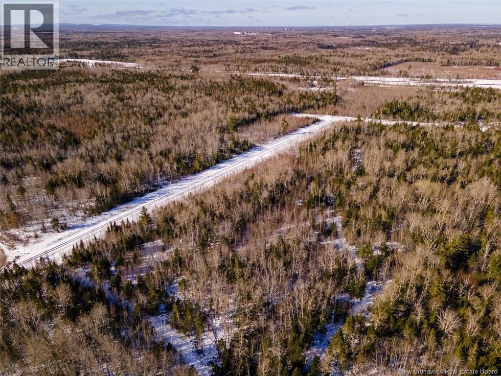 Lot Rte 134, Cocagne, New Brunswick E4R 3A4 - Photo 47 - NB134632