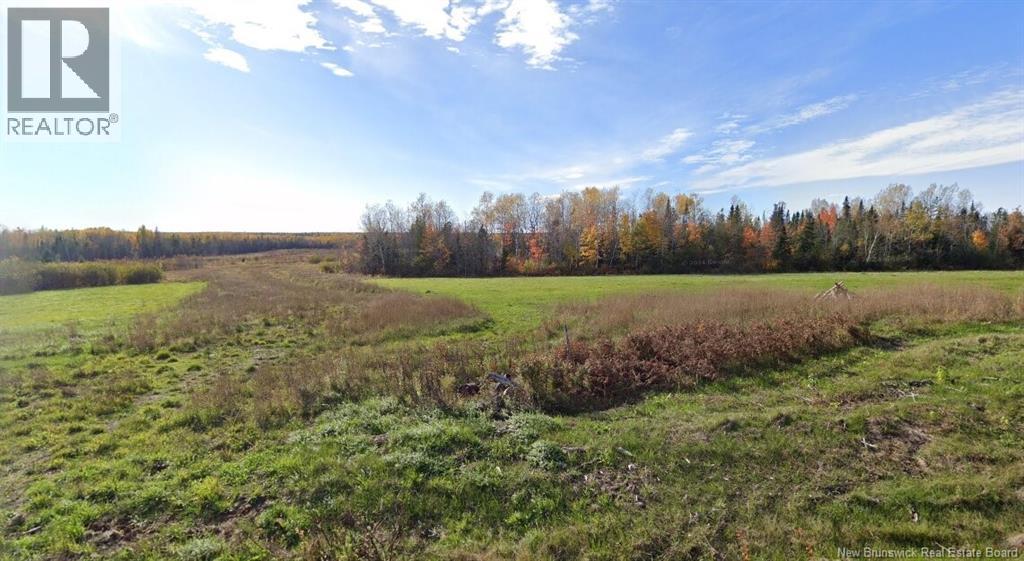 Lot Chem. Lavigne Road, Maltempec, New Brunswick  E8P 1M8 - Photo 1 - NB134663