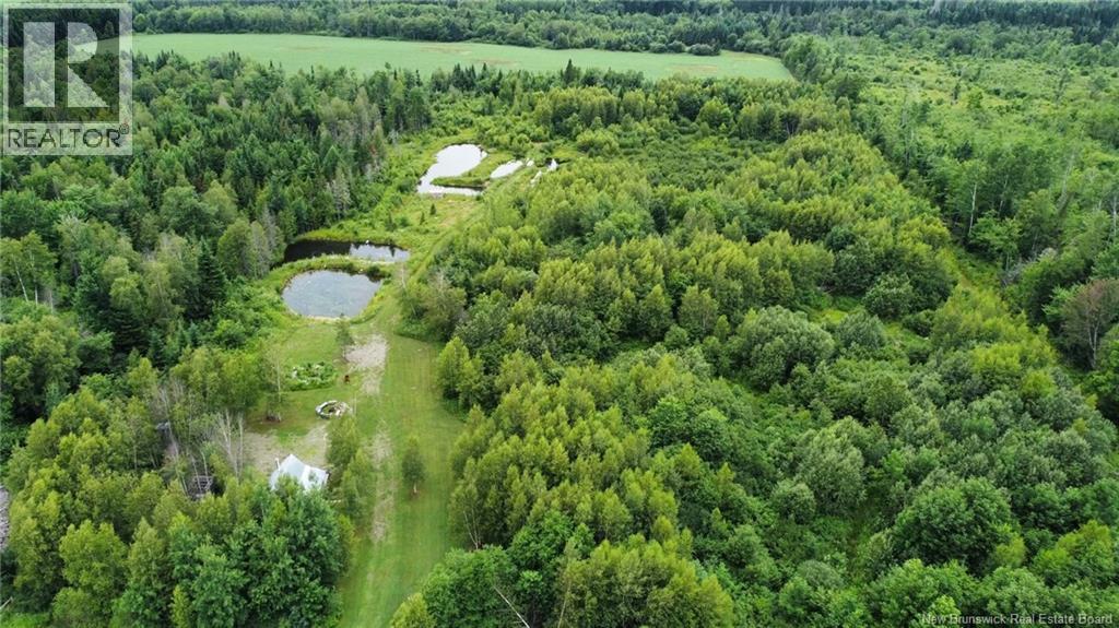 245 Hunter Road, Oakland, New Brunswick E7L 3X8 - Photo 4 - NB134533