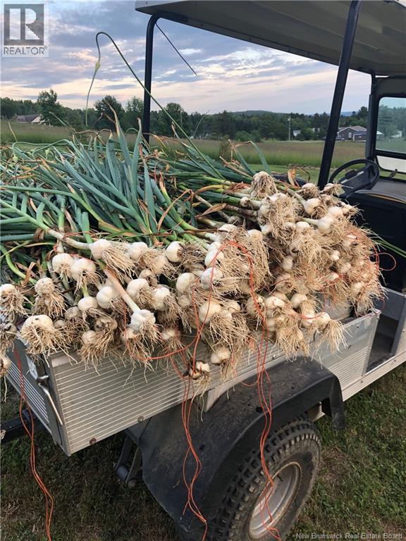 245 Hunter Road, Oakland, New Brunswick E7L 3X8 - Photo 46 - NB134533