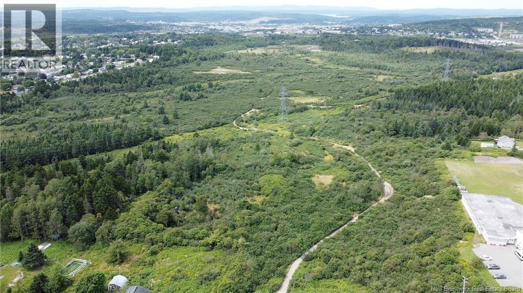 Vacant Grandview Avenue, Saint John, New Brunswick  E2J 4P6 - Photo 11 - NB134686