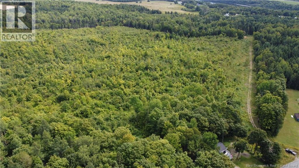0 Beechwood Road, Beechwood, New Brunswick  E7J 1Z2 - Photo 2 - NB134730