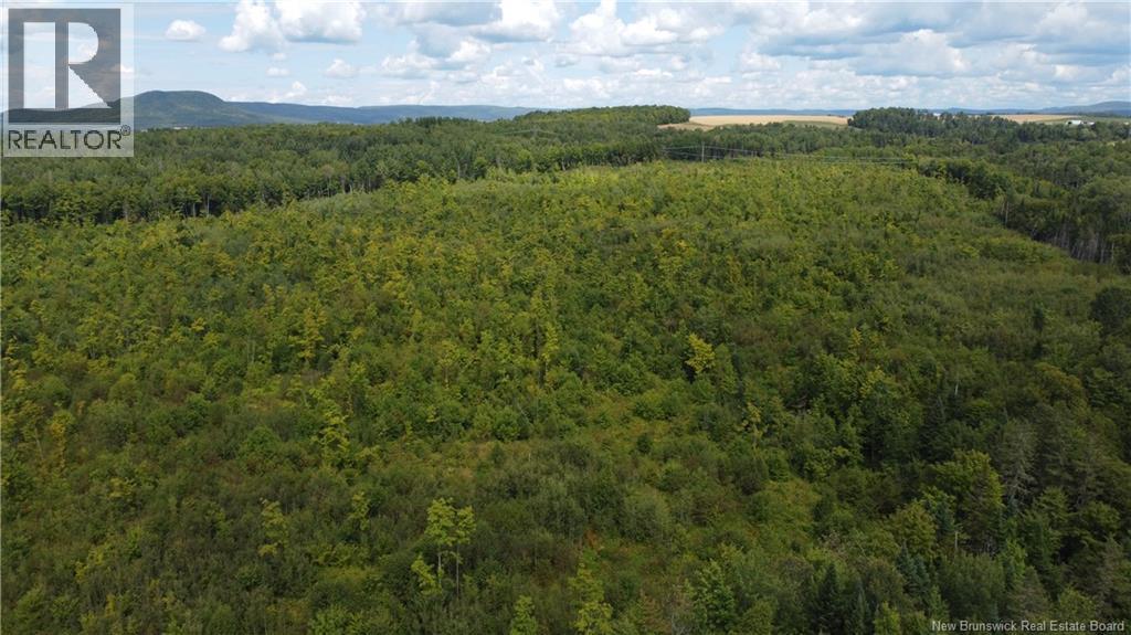 0 Beechwood Road, Beechwood, New Brunswick  E7J 1Z2 - Photo 3 - NB134730