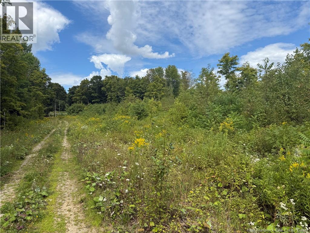 0 Beechwood Road, Beechwood, New Brunswick  E7J 1Z2 - Photo 5 - NB134730