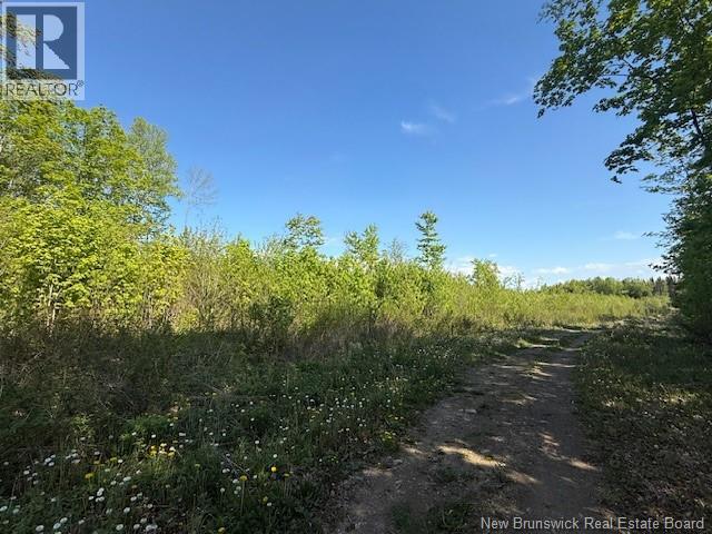 0 Beechwood Road, Beechwood, New Brunswick  E7J 1Z2 - Photo 6 - NB134730