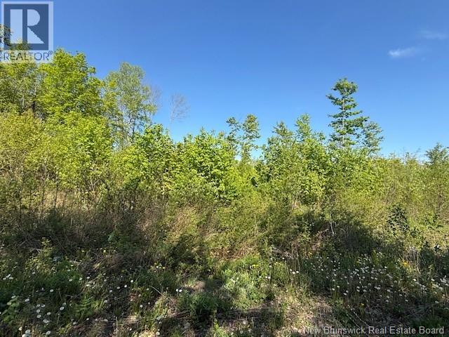 0 Beechwood Road, Beechwood, New Brunswick  E7J 1Z2 - Photo 7 - NB134730